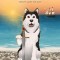 The Adventures of Rufus O&#039;Malley - Monty Saves The Day