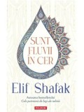 Cumpara ieftin Sunt fluvii in cer/Elif Shafak