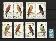 Timbre Polonia, 1975 | Pasari prada - Soimi - Ornitologie | Serie Completa | aph foto