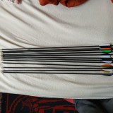 Sageti din fibra de sticlă pentru arcuri cu lungimea de 81 cm(31 nch),17 lei/buc,noi