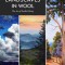 Jaana Mattson&#039;s Landscapes in Wool: The Art of Needle Felting