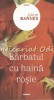 Barbatul cu haina rosie - Julian Barnes, Nemira, 2020, Roman, Beletristica, 301 pagini