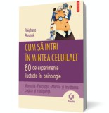 Cum sa intri in mintea celuilalt - Stephane Rusinek - Editura Polirom
