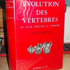 G. VANDEBROEK - EVOLUTIA VERTEBRATELOR , ORIGINEA OMULUI , PARIS , 1969