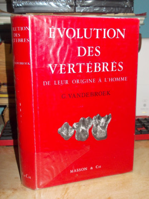 G. VANDEBROEK - EVOLUTIA VERTEBRATELOR , ORIGINEA OMULUI , PARIS , 1969 foto