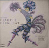 Disc vinil, LP. FLAUTUL FERMECAT-W. A. MOZART, Rock and Roll