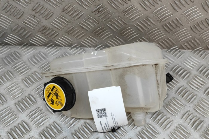 Vas de expansiune JAGUAR I-PACE X590 2019 OEM: YC15-8B099-AA,J9D3-8A080-AC 22638268