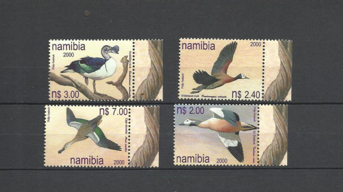 NAMIBIA 2000 FAUNA PASARI ACVATICE