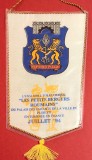 Fanion-Turneul din Franta `94-Ansamblul Folcloric Palatul Copiilor din Ploiesti