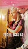 Focul ascuns, Mary Jo Putney