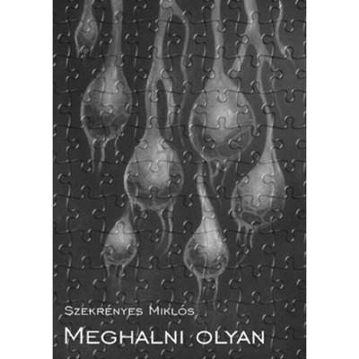 Meghalni olyan/&amp;Eacute;lni olyan - Szekr&amp;eacute;nyes Mikl&amp;oacute;s foto
