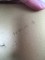 Foto  - 6