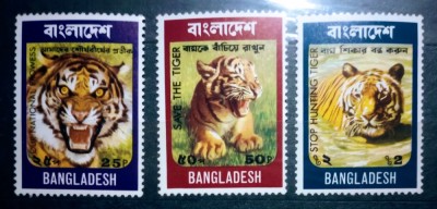 Bangladesh 1974 tigri,animale sălbatice. Fauna serie 3v nestampilata foto