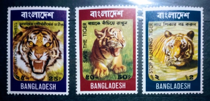 Bangladesh 1974 tigri,animale sălbatice. Fauna serie 3v nestampilata