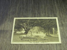 Fotografie tip Carte Poștală &ndash; Piatra Schleswig (cel mai probabil din perioada 1900&ndash;1940)