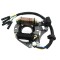 Magnetou Stator ATV 70cc - 80cc - 107cc - 110cc 125cc 2 bobine