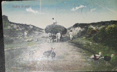 Carte postala, Romania, vedere la tara, perioada interbelica foto