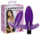 Vibrator Anal Charmeur