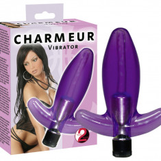 Vibrator Anal Charmeur