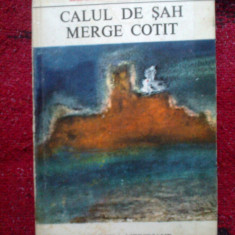 e1 LEONID BORISOV - CALUL DE SAH MERGE COTIT