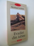 Evadari din iubire - Bernhard Schlink