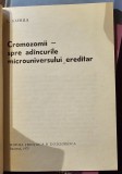 Cromozomii, spre adancurile microuniversului ereditar