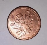 CY - 2 toea 2004 Papua Noua Guinee / frumoasa