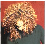 CD Janet &lrm;&ndash; The Velvet Rope (VG)