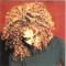 CD Janet &lrm;&ndash; The Velvet Rope (VG++)