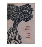 Mihai Beniuc - Coltii de stinca - 105664