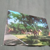 CARTE POSTALA CIRCULATA BRAILA LACUL SARAT-TABARA DE COPII
