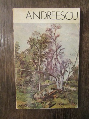 IULIAN MEREUTA - ANDREESCU foto
