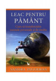 Leac pentru Păm&acirc;nt. Cum să transformăm toxinele personale şi de mediu - Paperback - Sandra Ingerman - For You