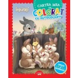 Cartea mea de colorat cu autocolante. Lipeste si coloreaza!/***