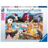 Cumpara ieftin PUZZLE CATEI LA PISCINA, 1000 PIESE, Ravensburger