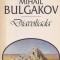 Mihail Bulgakov - Diavoliada