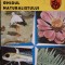 GHIDUL NATURALISTULUI-GHEORGHE MOHAN-218667