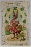 FELICITARE DE PASTE , IEPUROAICA CU COSURI DE OUA VOPSITE , CARTE POSTALA , CROMOLITOGRAFIE , CLASICA , DATATA 1904