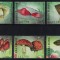 SIERRA LEONE 2009 - Ciuperci / serie completa MNH