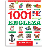 1001 cuvinte in engleza. Despre lume