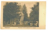 5745 - RASINARI, Sibiu, Andrei SAGUNA Mausoleum, Romania - old postcard - unused