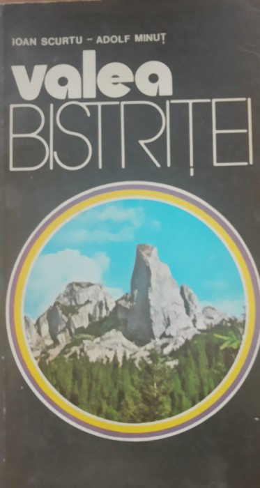 Valea Bistritei - Ioan Scurtu