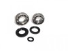 Set Rulmenti Ambielaj Revo Suzuki AD, Rulment 16205, Rulment 6204, Simering 24x43x6, 25x37x6, 17x25x4