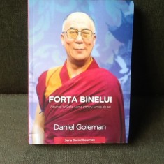 Forta binelui - Daniel Goleman foto