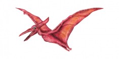 Sticker decorativ Dinozaur, Rosu, 85 cm, 3931ST foto