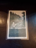 Carte postala , Baile Herculane , Parcul ,alb negru - (necirculata)