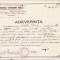 HST A1187 Adeverință absolvire 4 clase 1935 Elena Doamna București