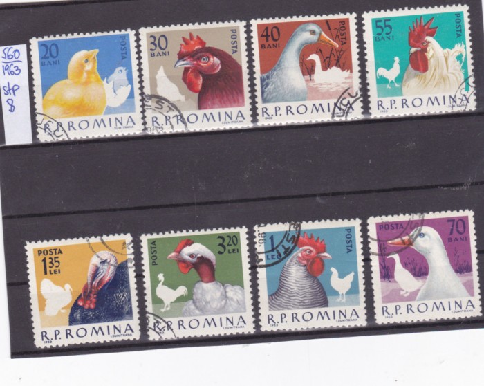 TSV @ - 1963 LP 560 PĂSĂRI DE RASĂ, ȘTAMPILAT