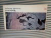 Rashomon - Ryunosuke Akutagawa, EPLU 1968, Roman