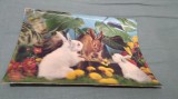 CARTE POSTALA 3D NECIRCULATA